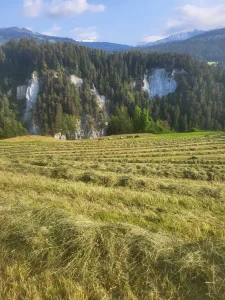 Fütterung...