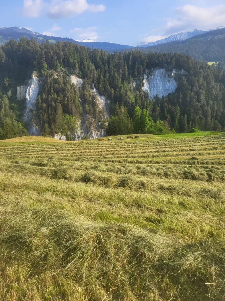 Fütterung...